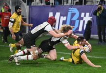 Frunza de stejar mai bună ca frunza de arțar